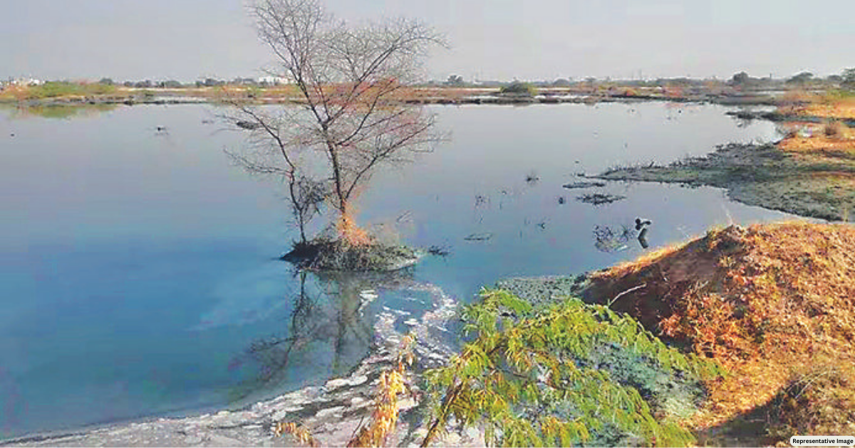 Stop flow of contaminated water into Jojari river: NGT to State govt